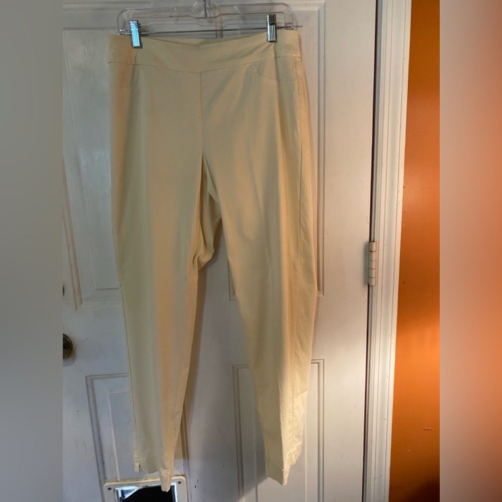 Slim-Sation Cream Wide Band Tummy-control Pull-on Ankle Pant